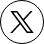 X Icon